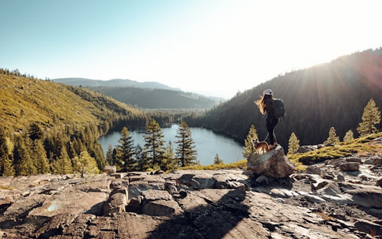 psiholog dezvoltare personala suceava